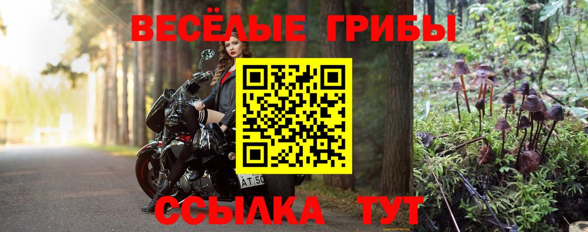 Галлюциногенные грибы ЛСД Абинск