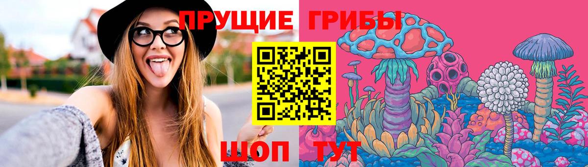 Псилоцибиновые грибы MAGIC MUSHROOMS  Вход с VPN  Псилоцибиновые грибы MAGIC MUSHROOMS  Абинск 